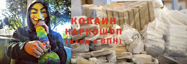 молекула духа Алексеевка