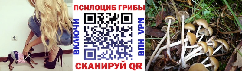 Псилоцибиновые грибы MAGIC MUSHROOMS Ростов-на-Дону